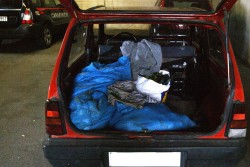 Ruba due quintali di agrumi, intercettato dai carabinieri ed arrestato - Corriere Salentino