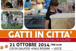 “Gatti in città", installazione delle casette per i gatti all'ex Galateo di Lecce - Corriere Salentino