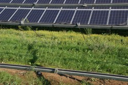 Pannelli rubati, destinazione Marocco: in quattro in manette - Corriere Salentino