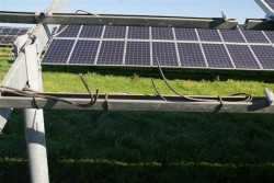 Pannelli rubati, destinazione Marocco: in quattro in manette - Corriere Salentino