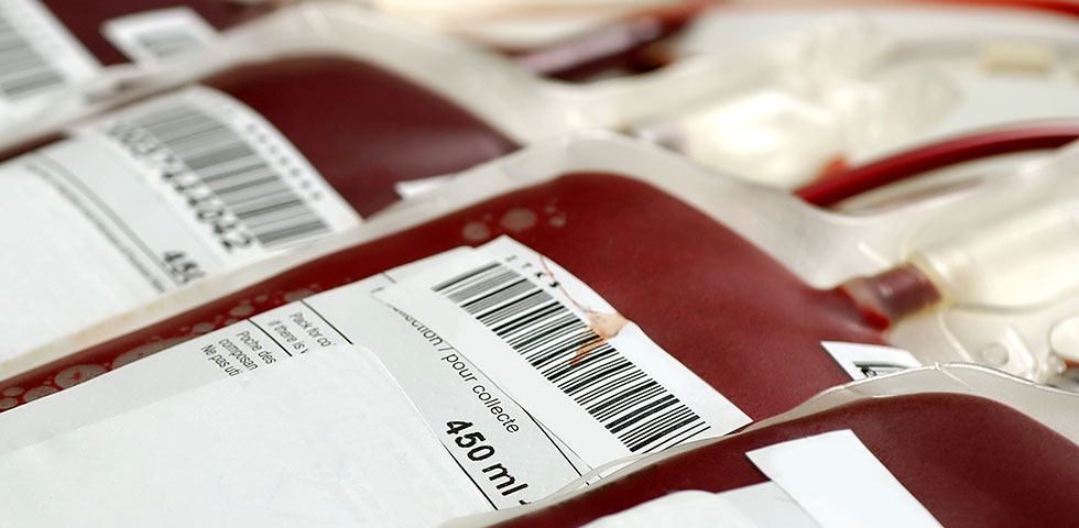 Carenza di sangue, invito alla donazione dell’Asl Lecce