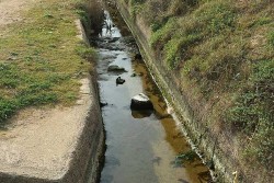 Dopo illusioni e tante promesse, Torre Chianca di nuovo nell’oblio - Corriere Salentino