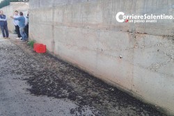 Ancora sangue sulle strade del Salento, anziano contadino grave in ospedale - Corriere Salentino