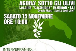 Tra gli ulivi infetti di Gallipoli l'agora sulla Xylella Fastidiosa - Corriere Salentino