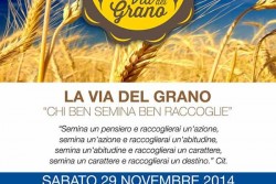 Tutto pronto per il progetto "La via del grano" - Corriere Salentino