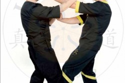 "Piccola idea - Grande effetto": workshop di WyngTjun a Casalabate - Corriere Salentino