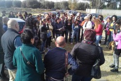 Sit-in di protesta fuori dal rifugio Lovely, le associazioni di volontariato chiedono un incontro con il Sindaco - Corriere Salentino