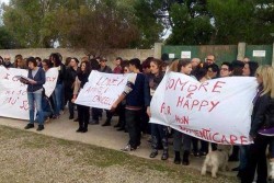 Sit-in di protesta fuori dal rifugio Lovely, le associazioni di volontariato chiedono un incontro con il Sindaco - Corriere Salentino