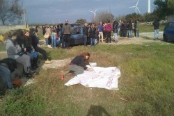 Sit-in di protesta fuori dal rifugio Lovely, le associazioni di volontariato chiedono un incontro con il Sindaco - Corriere Salentino