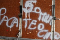 Estorsione sul set di Genovesi e Raul Bova, in manette due salentini: "Pagate 50mila euro se no ciao" - Corriere Salentino