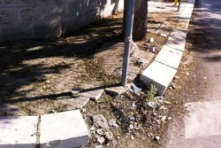 Giornata dei disabili, Dantes: "Annuncio per il miglioramento del 'Piano di Accessibilità', ma in giro altra realtà" - Corriere Salentino