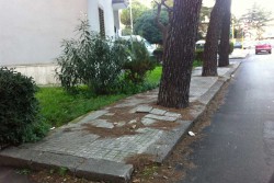 Giornata dei disabili, Dantes: "Annuncio per il miglioramento del 'Piano di Accessibilità', ma in giro altra realtà" - Corriere Salentino