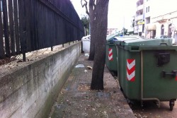 Giornata dei disabili, Dantes: "Annuncio per il miglioramento del 'Piano di Accessibilità', ma in giro altra realtà" - Corriere Salentino