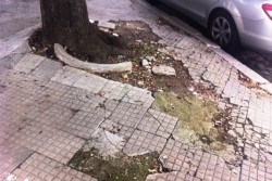 Dantes: "Viale Oronzo Quarta, un pessimo bigliettino da visita" - Corriere Salentino