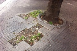 Dantes: "Viale Oronzo Quarta, un pessimo bigliettino da visita" - Corriere Salentino