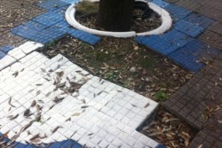 Dantes: "Viale Oronzo Quarta, un pessimo bigliettino da visita" - Corriere Salentino