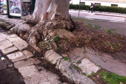 Piazza Bottazzi, Dantes: "Un’impresa camminare senza pericoli, proprio davanti all’ex Vito Fazzi" - Corriere Salentino