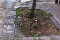 Piazza Bottazzi, Dantes: "Un’impresa camminare senza pericoli, proprio davanti all’ex Vito Fazzi" - Corriere Salentino