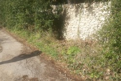 Cespuglio "stupefacente", vi erano nascosti oltre un chilo e mezzo di eroina:indagini in corso - Corriere Salentino