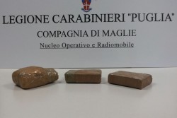 Cespuglio "stupefacente", vi erano nascosti oltre un chilo e mezzo di eroina:indagini in corso - Corriere Salentino