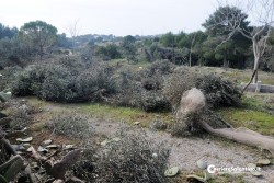 Tromba d'aria in camera da letto, tragedia sfiorata nel Capo di Leuca. Danni in tutto il Salento - Corriere Salentino