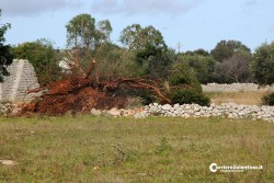 Tromba d'aria in camera da letto, tragedia sfiorata nel Capo di Leuca. Danni in tutto il Salento - Corriere Salentino