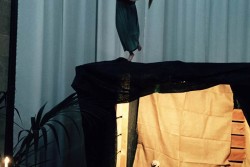 Sconcerto nella chiesa, decapitato l'angelo del presepe - Corriere Salentino