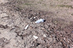 Dantes: "San Cataldo, una spiaggia lasciata a se stessa" - Corriere Salentino