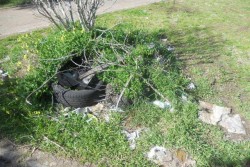 Dantes: "Piazza Palio, nei pressi del Palazzetto dello sport veri e propri angoli di degrado" - Corriere Salentino