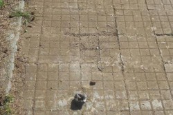 Dantes: "Piazza Palio, nei pressi del Palazzetto dello sport veri e propri angoli di degrado" - Corriere Salentino