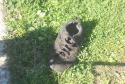 Dantes: "Piazza Palio, nei pressi del Palazzetto dello sport veri e propri angoli di degrado" - Corriere Salentino