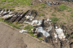 Dantes: "Piazza Palio, nei pressi del Palazzetto dello sport veri e propri angoli di degrado" - Corriere Salentino