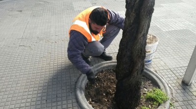 bonifica-aiuole