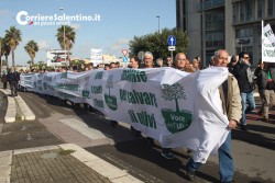Xylella, gli agricoltori scendono in piazza: bloccato il centro di Lecce - Corriere Salentino