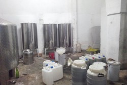 Olio importato venduto come extravergine italiano, maxi sequestro dei Nas nella provincia salentina - Corriere Salentino