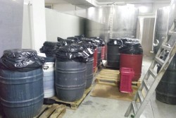 Olio importato venduto come extravergine italiano, maxi sequestro dei Nas nella provincia salentina - Corriere Salentino