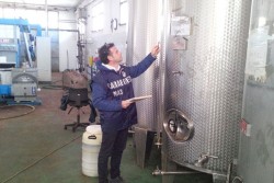 Olio importato venduto come extravergine italiano, maxi sequestro dei Nas nella provincia salentina - Corriere Salentino