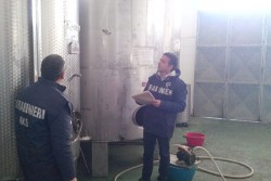 Olio importato venduto come extravergine italiano, maxi sequestro dei Nas nella provincia salentina - Corriere Salentino
