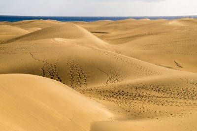 quaresima-deserto-generic