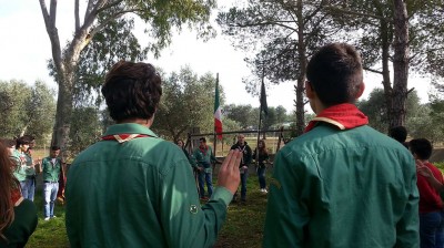 scout-novoli