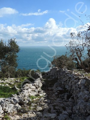 Trekking avanguardie