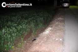 Fuori strada con la moto, 35enne in ospedale con "codice rosso" - Corriere Salentino