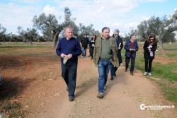 Al via il piano anti-xylella, verranno abbattuti centinaia di ulivi infetti in 16 comuni - Corriere Salentino