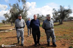 Al via il piano anti-xylella, verranno abbattuti centinaia di ulivi infetti in 16 comuni - Corriere Salentino