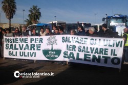 Xylella, gli agricoltori scendono in piazza: bloccato il centro di Lecce - Corriere Salentino