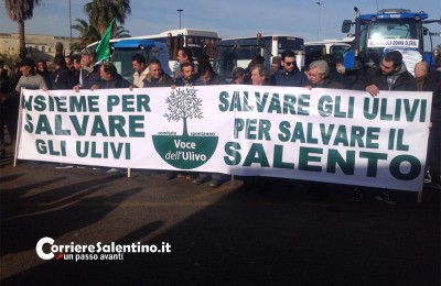 xylella manifestazione 2