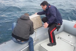 Pesca abusiva: sequestrati 4000 ricci a Porto Cesareo, due pescatori nei guai - Corriere Salentino