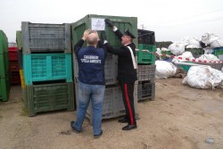 Discarica abusiva sequestrata dai carabinieri a Galatone - Corriere Salentino