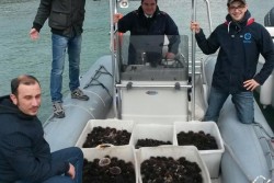 Pesca abusiva: sequestrati 4000 ricci a Porto Cesareo, due pescatori nei guai - Corriere Salentino