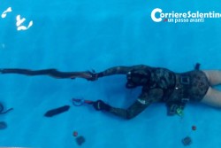Test in piscina coi fucili da sub: l'evento richiama centinaia di appassionati da tutta la Puglia - Corriere Salentino